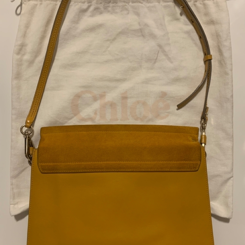 Chloe Faye Medium Bag - Picture 4 of 16